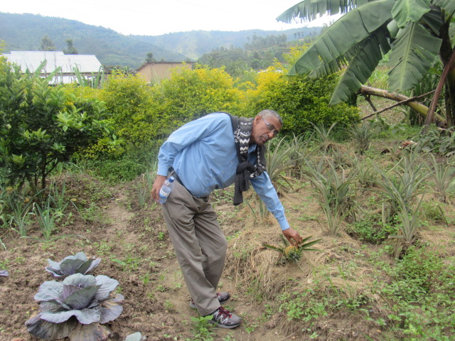 Africa Agribusiness Academy ( AAA ) visit to Rwanda Best